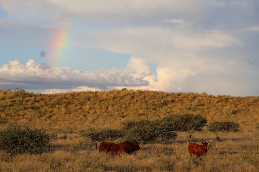 Commercial Property for Sale in Upington Rural Northern Cape